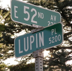 52nd  amp  Lupin Pl